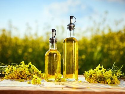 Minyak Sawit Vs Minyak Canola